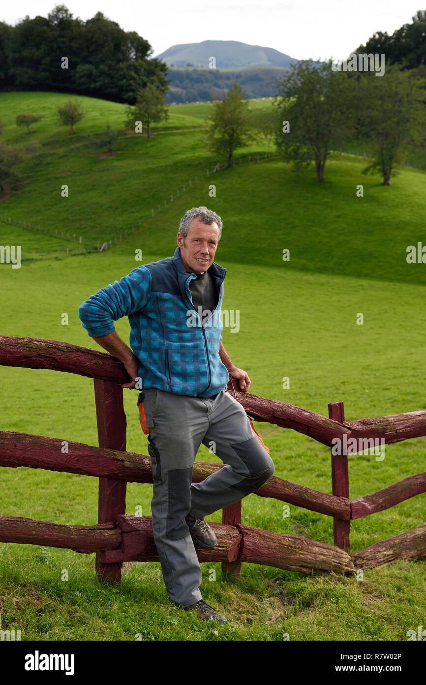 France, Pyrénées Atlantiques, Pays Basque, vallée des Aldudes, d'Urepel, la Manech tête noire eleveuse de moutons Jean-Bernard Etchebarren Banque D'Images