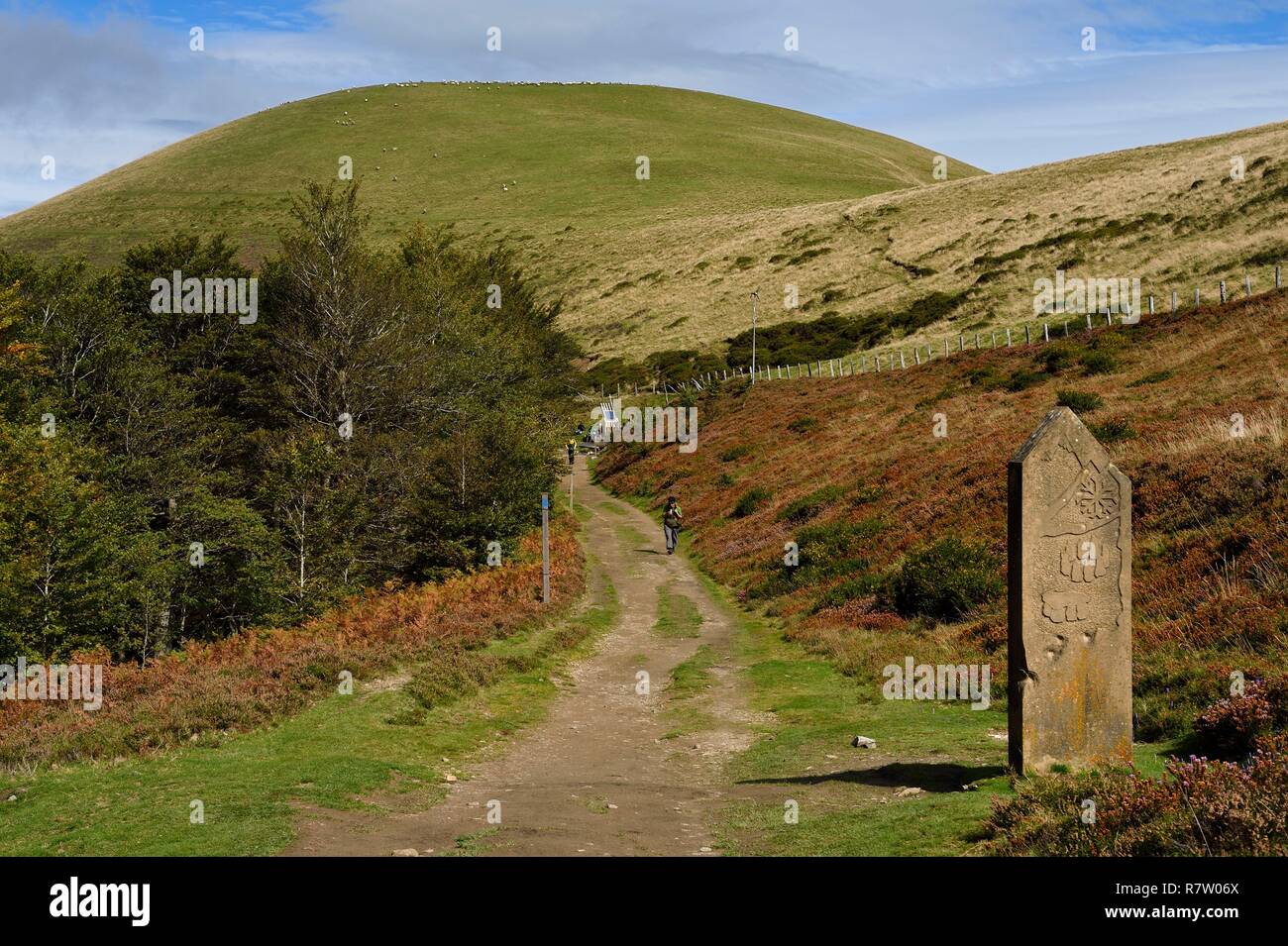 France, Pyrénées Atlantiques, Pays Basque, Camino de Santiago (Chemin de Saint Jacques) sur le GR 65 entre Saint Jean Pied de Port et Roncevaux vers le col Bentarte, marqueur de la frontière entre la Navarre en Espagne et la Basse Navarre en France Banque D'Images