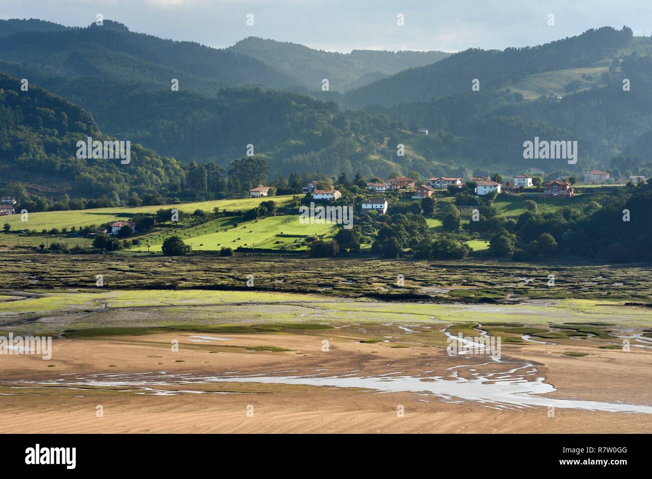 Espagne, Pays Basque, Gascogne Province, Région de l'estuaire d'Urdaibai Gernika-Lumo, Réserve de biosphère, estuaire de la rivière Oka à marée basse au sud de Rouffach Banque D'Images