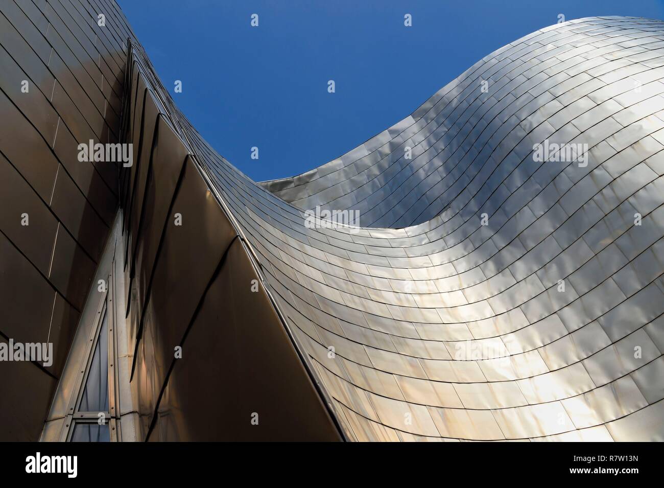 Espagne, Pays Basque, Province de Biscaye, Bilbao, le musée Guggenheim conçu par Frank Gehry, détail d'une façade en titane Banque D'Images