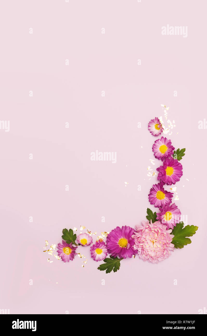 Fleurs roses et mauves sur fond rose. Mise à plat. Couronne du châssis. Banque D'Images