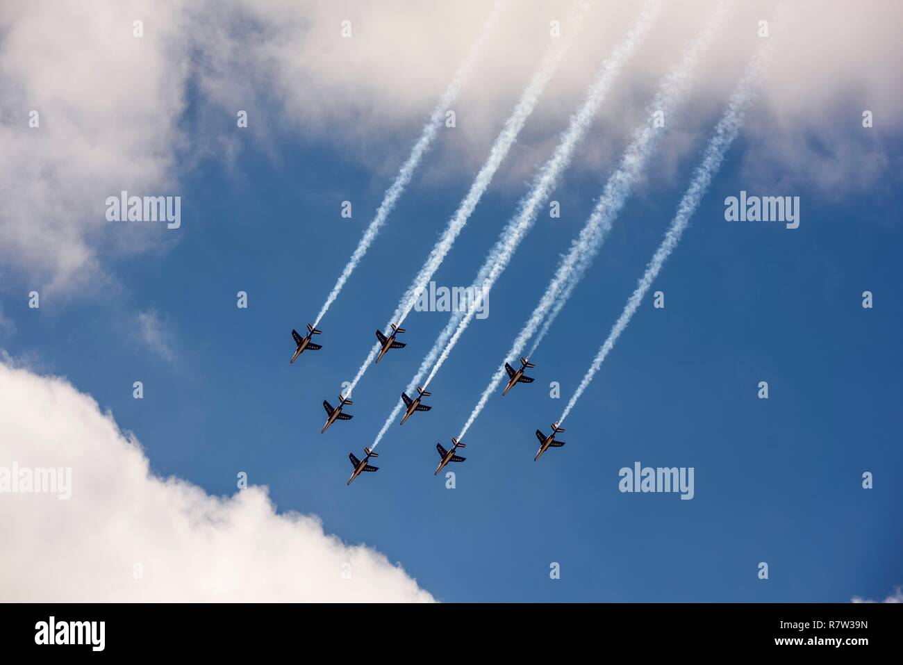 France, Saint Denis, Paris Le Bourget Aéroport, Patrouille de France à l'airfair Banque D'Images