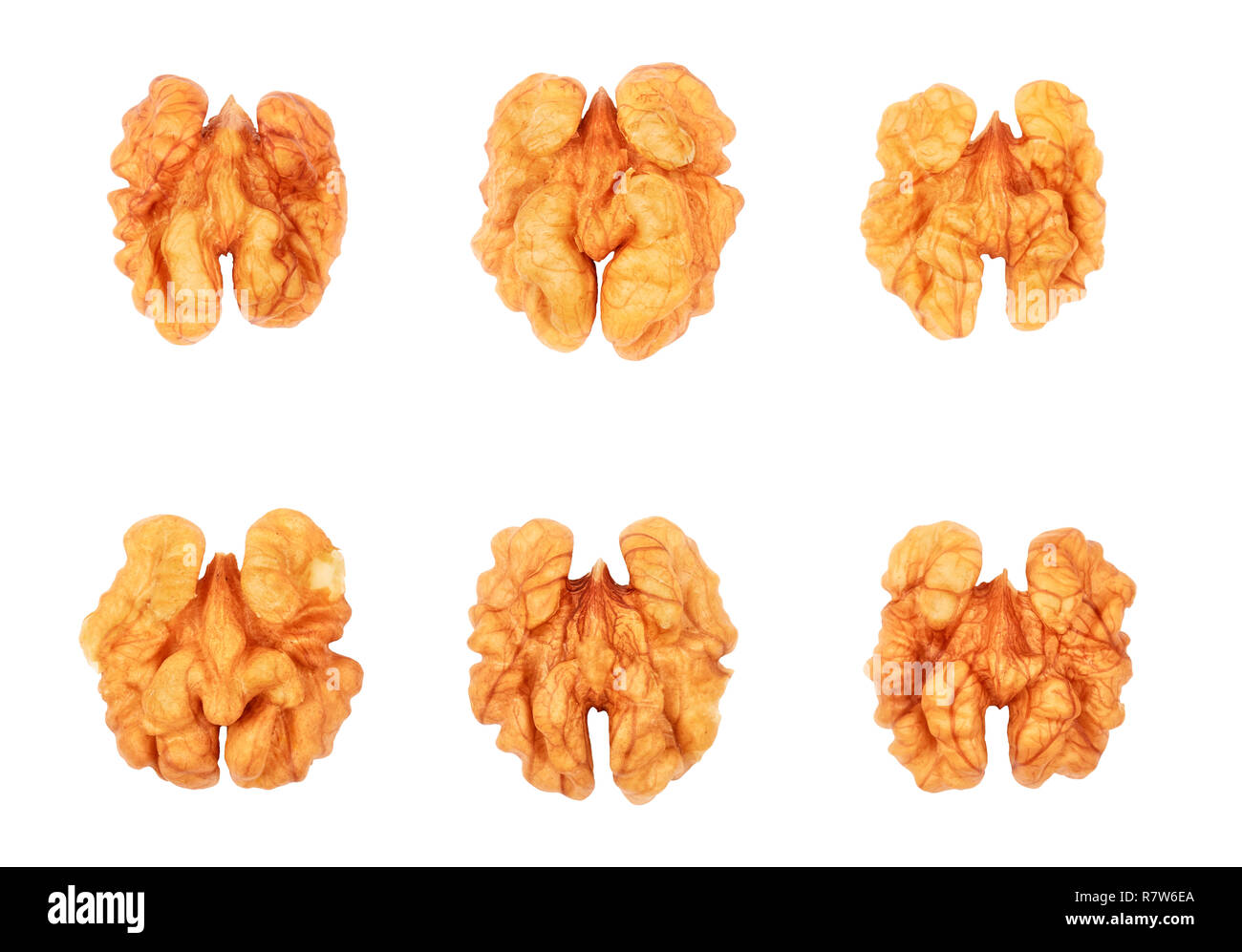 Close up photo de cerneaux isolé sur fond blanc. Banque D'Images