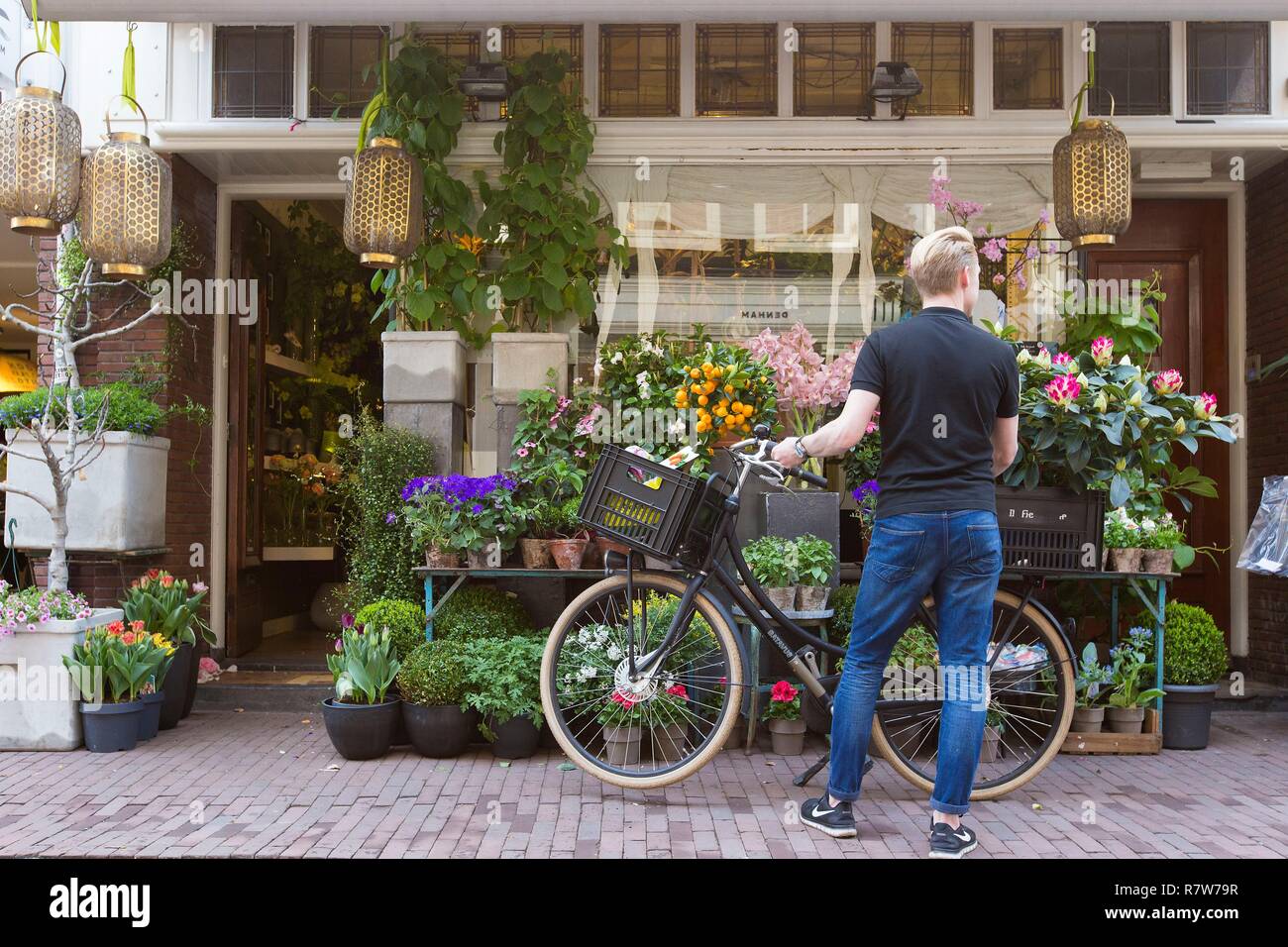 Pays-bas, le nord de la province de Hollande, Amsterdam, magasin de fleurs dans le quartier du Jordaan Banque D'Images