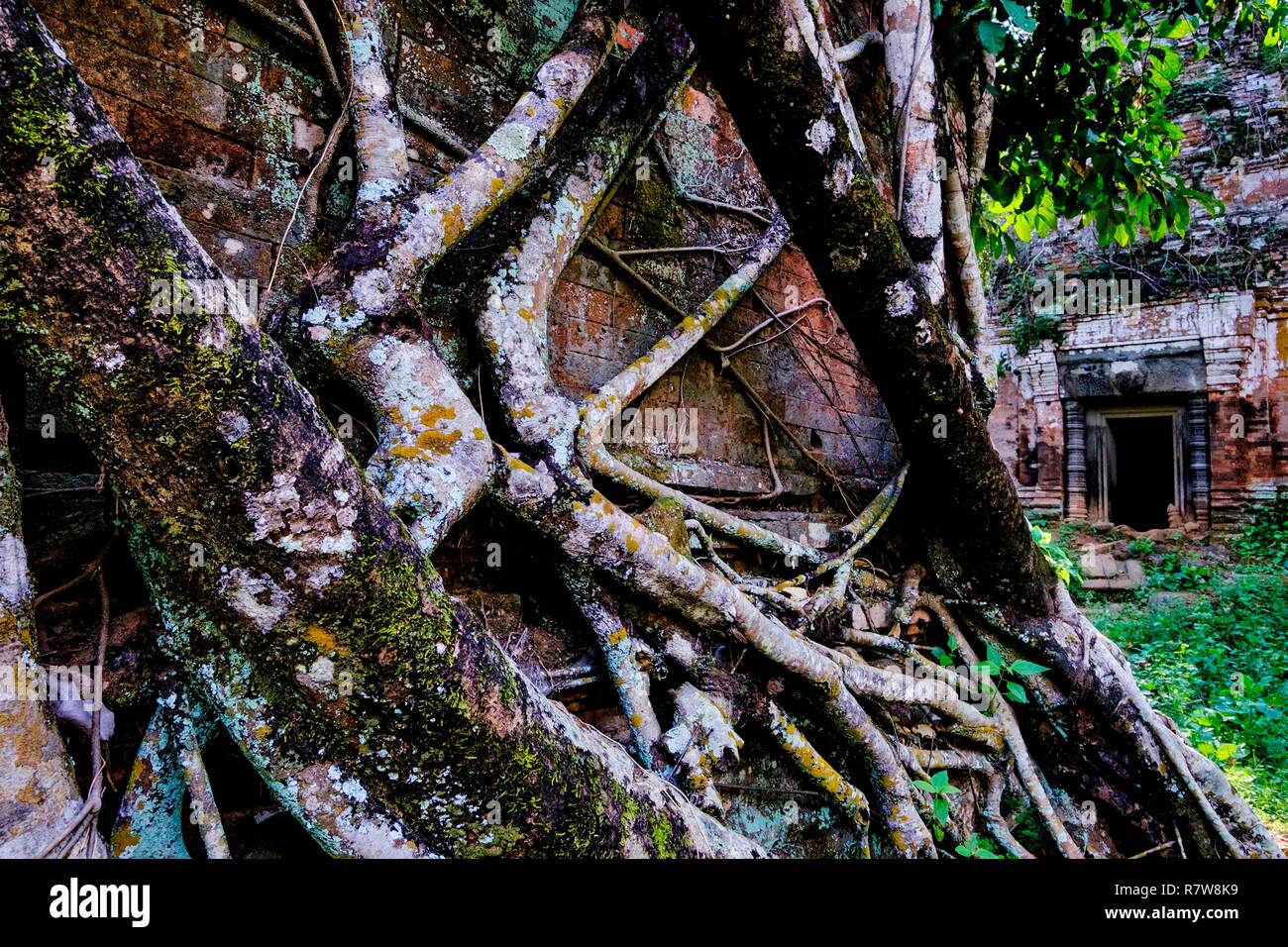 Cambodge, Koh Ker, ancienne capitale khmère au X siècle sous le roi Jayavarman IV, Prasat Pram ou temple Prasat Bram Banque D'Images