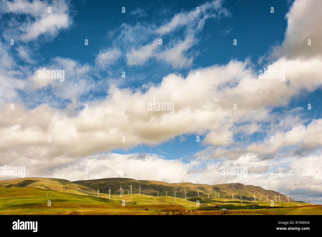 Vue de la Colombie-Britannique des collines parsemées de grandes éoliennes sous ciel bleu rempli de nuages blancs gonflés de Stonehenge Monument commémoratif de la Première Guerre mondiale Motif Banque D'Images