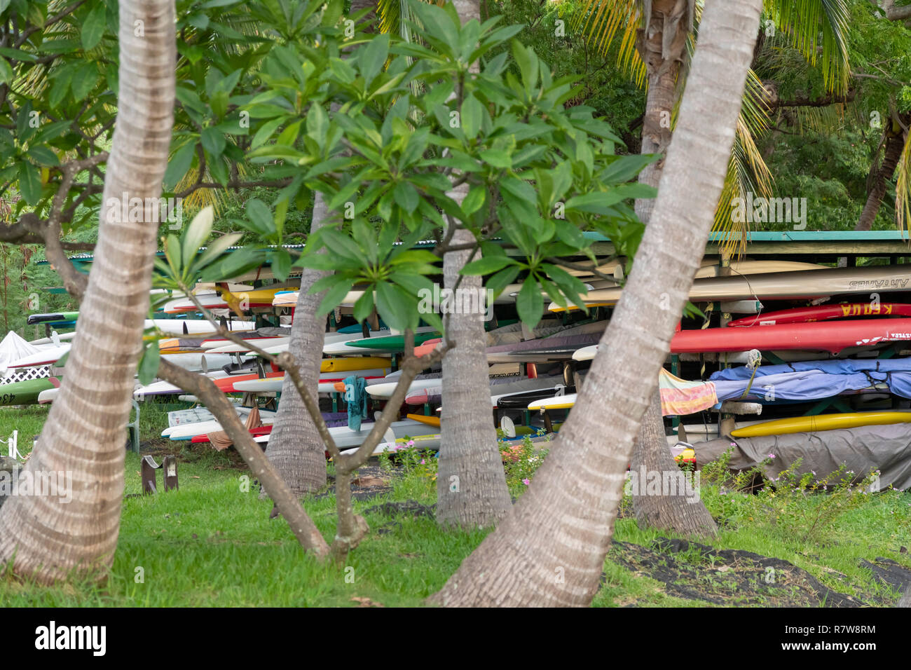 Honaunau, New York - Ocean canots appartenant à des membres de l'Keoua Honaunau Canoe Club sur Hawaii's Big Island. Banque D'Images