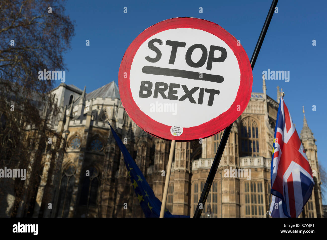 London, UK 11 décembre 2018 : En tant que premier ministre Theresa mai tours capitales européenne espère persuader les dirigeants étrangers à accepter un nouveau Brexit traiter (après son annulation d'un vote parlementaire), pro-UE Remainers Brexiteers et protester en face des chambres du Parlement, le 11 décembre 2018, à Londres, en Angleterre. Photo de Richard Baker / Alamy Live News Banque D'Images