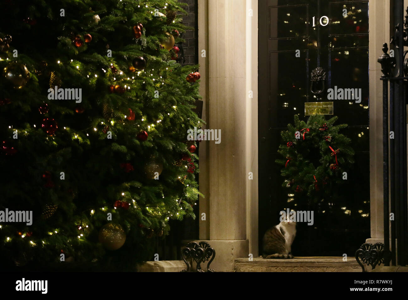 Londres, Grande-Bretagne. Dec 11, 2018. Larry, le 10 Downing Street cat, se trouve à l'extérieur 10 Downing Street à Londres, Grande-Bretagne, le 11 décembre, 2018. Le Premier ministre britannique Theresa peut a lancé sa mission mardi pour tenter de sauver son Brexit face à une série de réunions avec l'Union européenne (UE) les états leaders. Crédit : Tim Irlande/Xinhua/Alamy Live News Banque D'Images