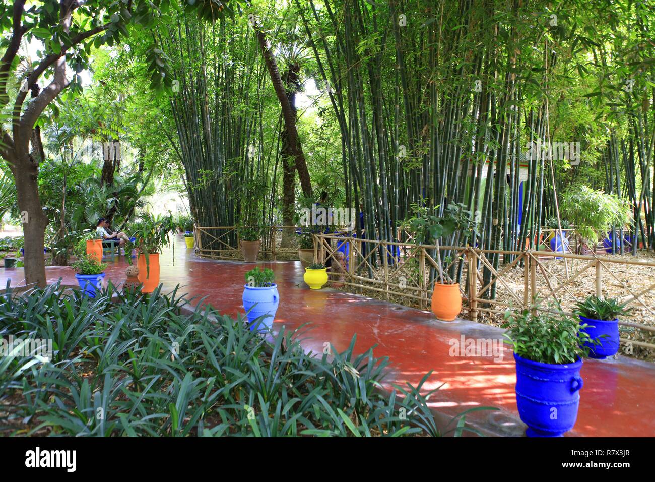 Maroc, Marrakech Safi, Marrakech, le Jardin Majorelle est un jardin botanique Jardin islamique d'inspiration touristique et un musée de la culture berbère. Il porte le nom de son fondateur, le peintre français Jacques Majorelle (1886-1962), qui l'a créé en 1931. Fondation Pierre Bergé, Yves Saint Laurent Banque D'Images