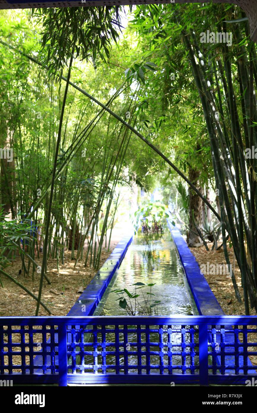 Maroc, Marrakech Safi, Marrakech, le Jardin Majorelle est un jardin botanique Jardin islamique d'inspiration touristique et un musée de la culture berbère. Il porte le nom de son fondateur, le peintre français Jacques Majorelle (1886-1962), qui l'a créé en 1931. Fondation Pierre Bergé, Yves Saint Laurent Banque D'Images