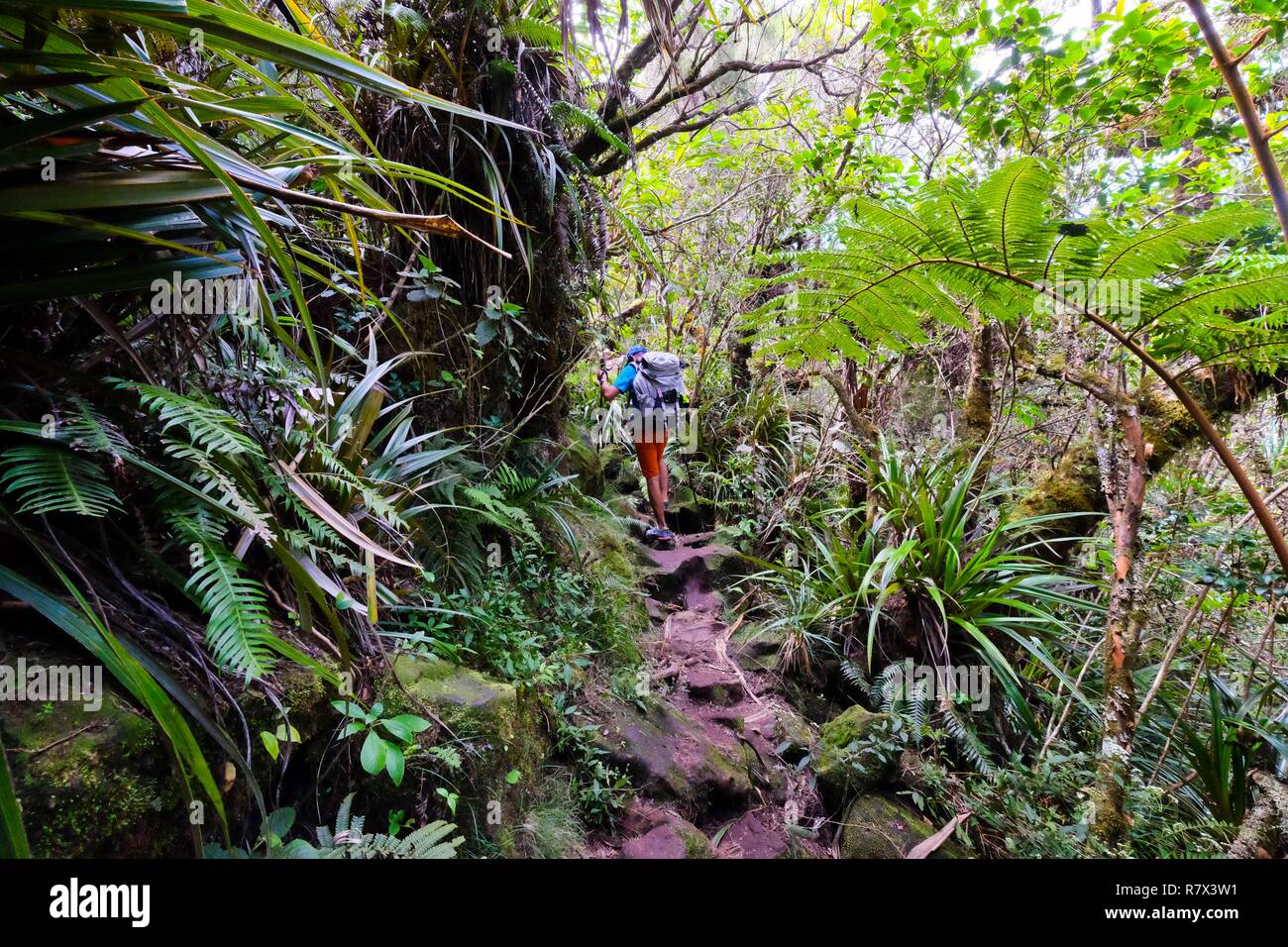 Chemin Des Anglais La Réunion  . Elle Fut Baptisée Chemin Crémont.