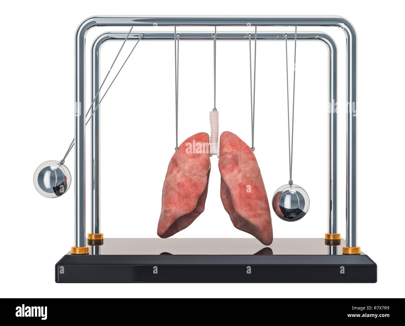 Douleur dans les poumons, le concept de maladie des poumons. Newton's cradle avec coeur. Le rendu 3D isolé sur fond blanc Banque D'Images