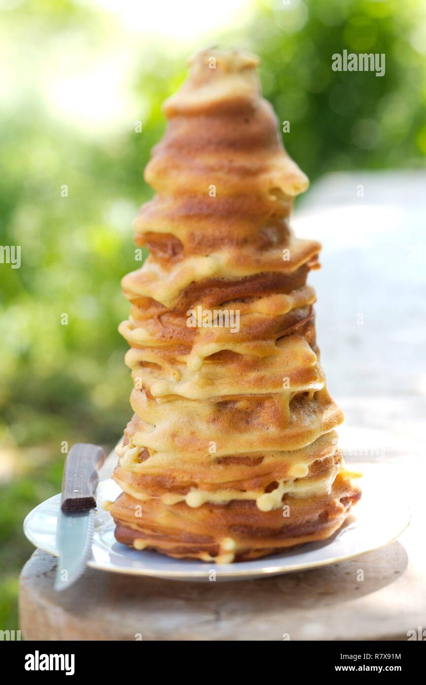 La France, l'Aveyron, gâteau à la broche Photo Stock - Alamy