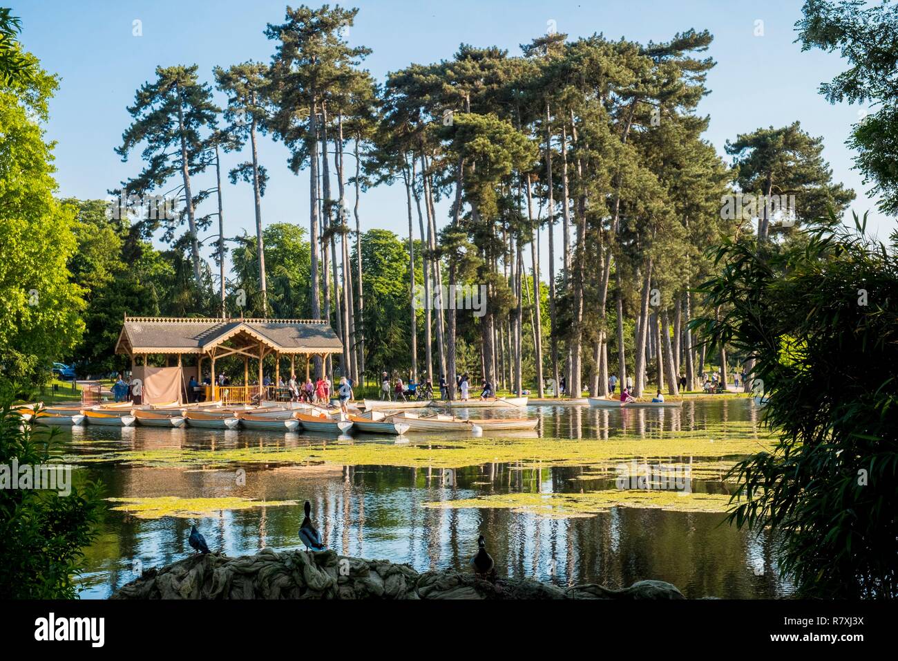 France, Paris, Bois de Boulogne, Lac, chalet de location de bateau Banque D'Images