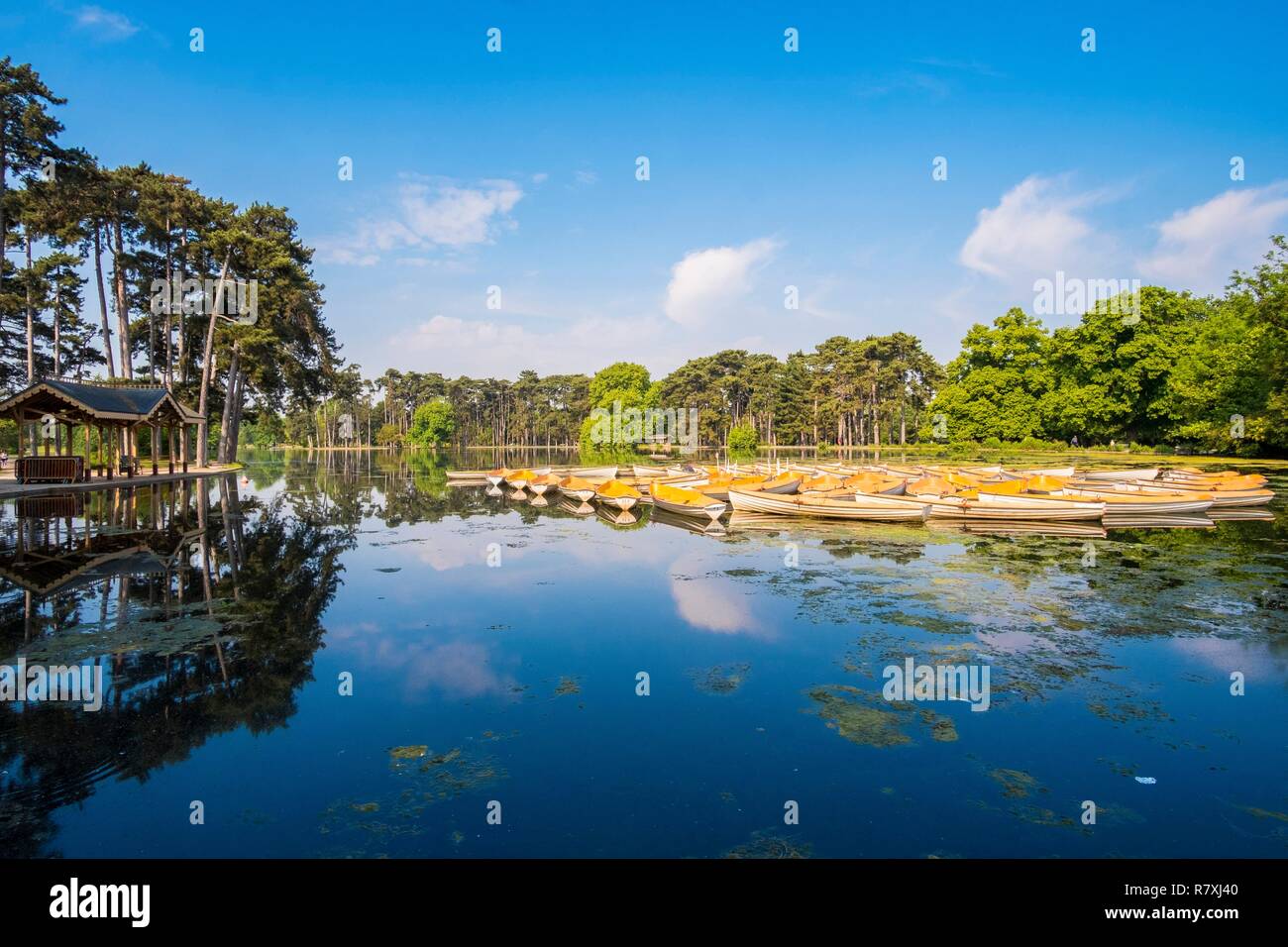 France, Paris, Bois de Boulogne, Lac, chalet de location de bateau Banque D'Images