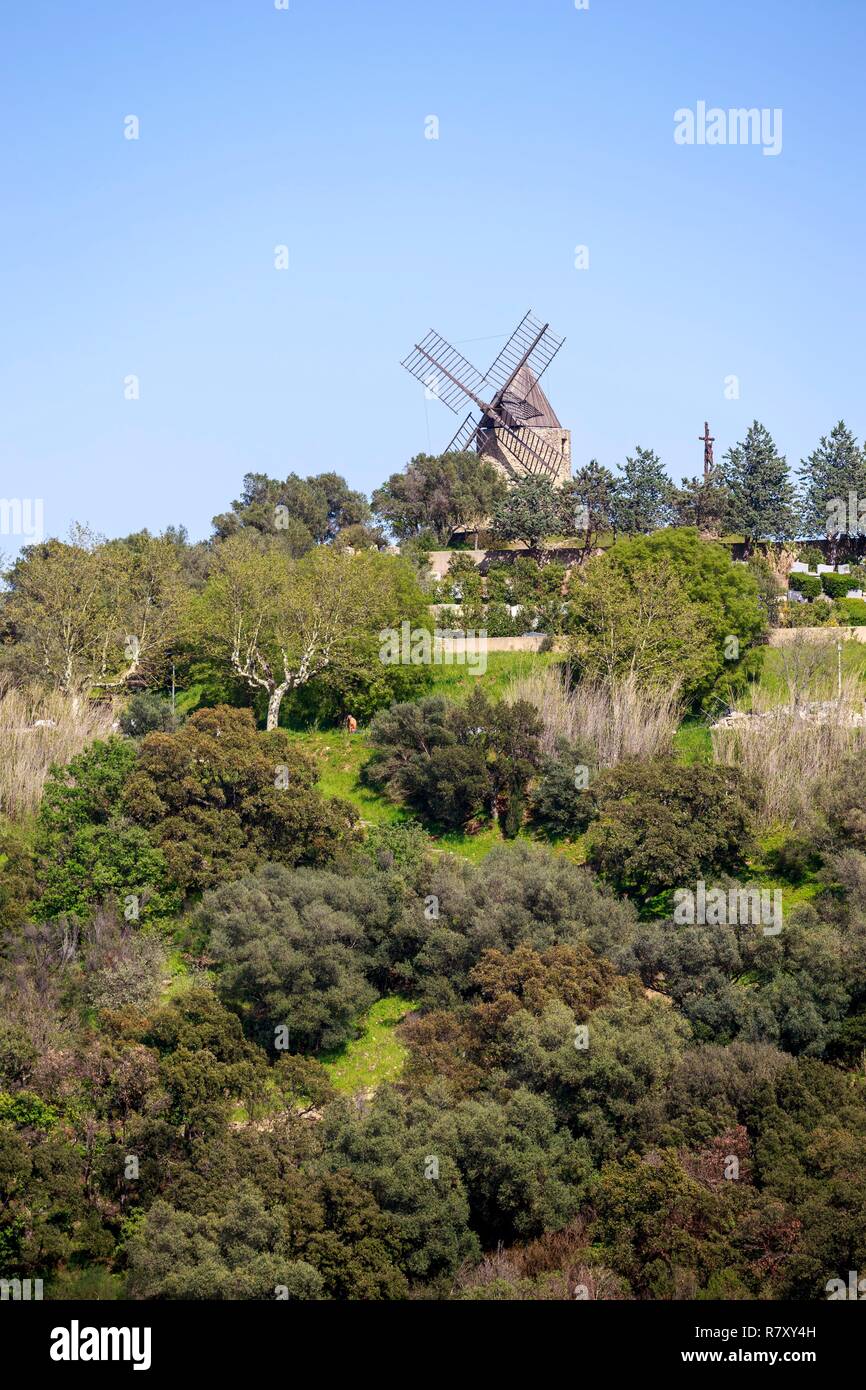 La France, Var, Grimaud, le Moulin Saint- Roch, connu pour le xviième siècle sous le nom de moulin de Gardiolle restauré en 1990 par l'architecte Hubert Lemonier et les Compagnons du Tour de France Banque D'Images