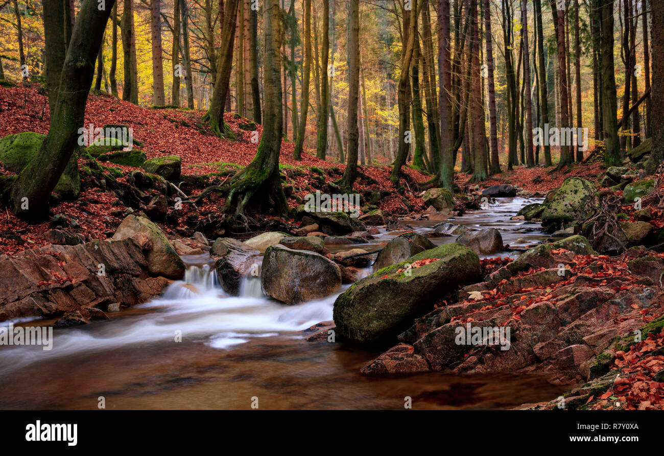 Ruisseau en cascade dans les montagnes du Harz en automne / Harzer Ilse im Herbst Banque D'Images