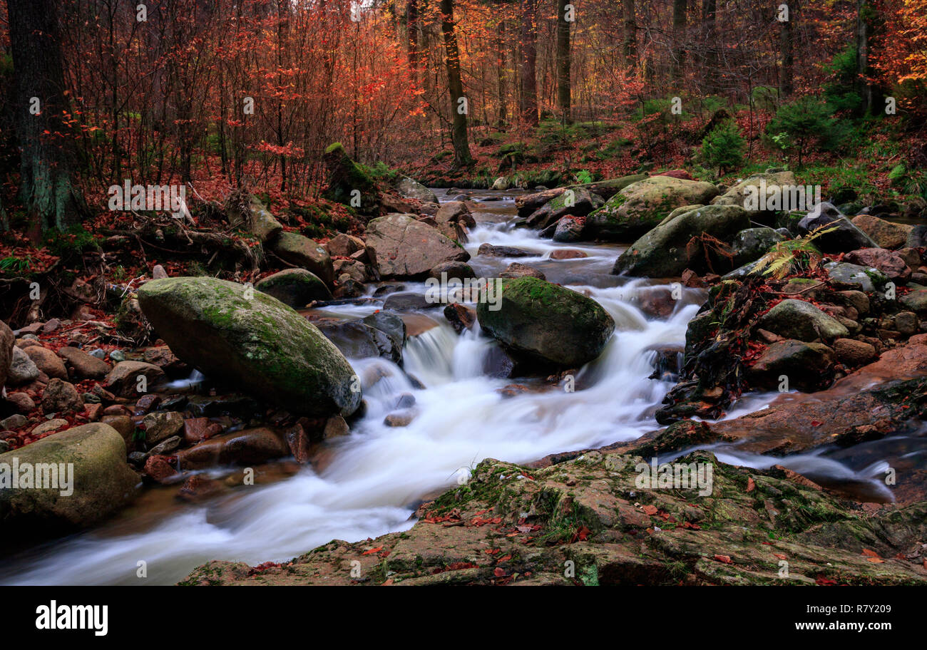 Ruisseau en cascade dans les montagnes du Harz en automne / Harzer Ilse im Herbst Banque D'Images