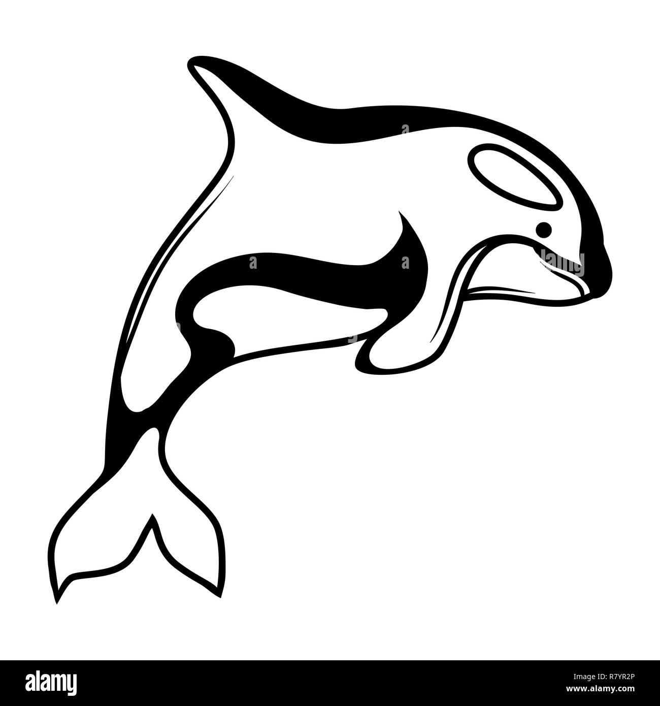 Killer whale en noir et blanc. Illustration de Vecteur
