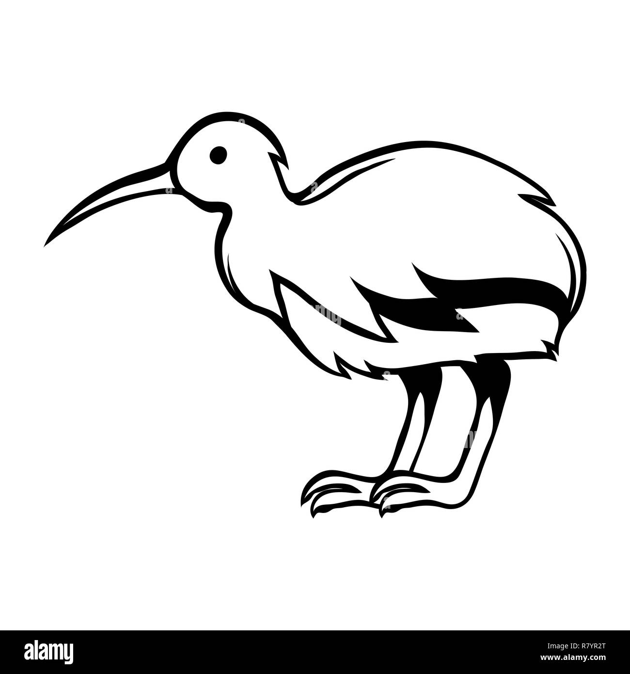 Kiwi Oiseau Noir et blanc. Illustration de Vecteur
