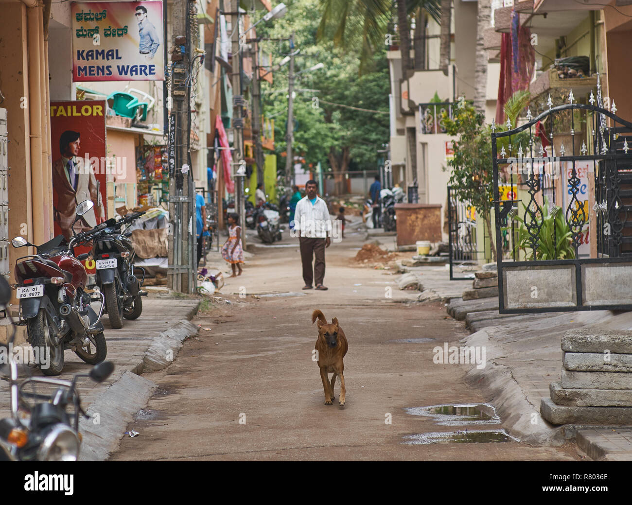 Un chien et un homme dans une petite rue au centre-ville de Bangalore. Banque D'Images