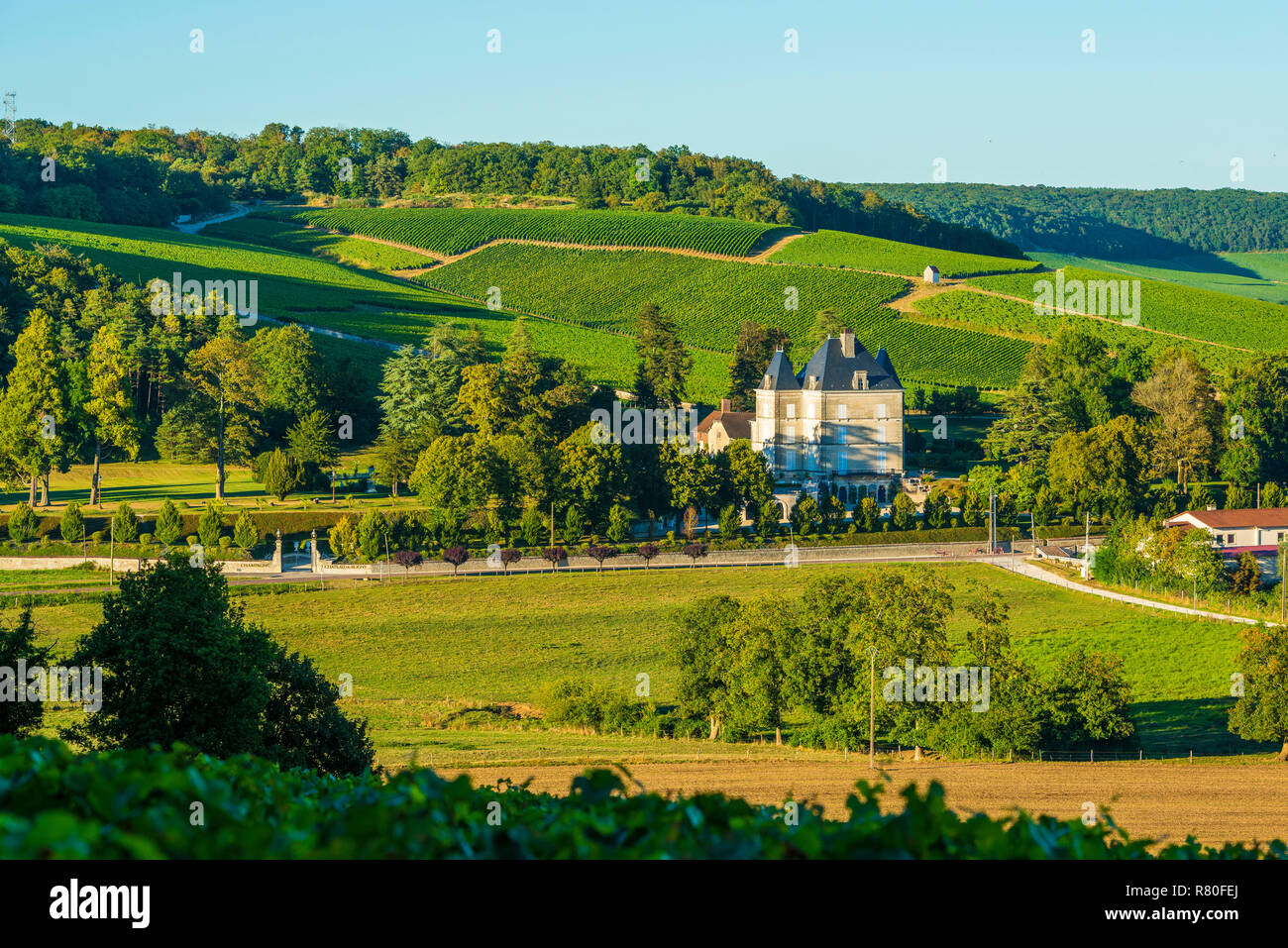 Bligny (nord-est de la France). Paysage rural entourant le château construit par Dampierre, au milieu de la région viticole "Côte des Bar" (être Banque D'Images