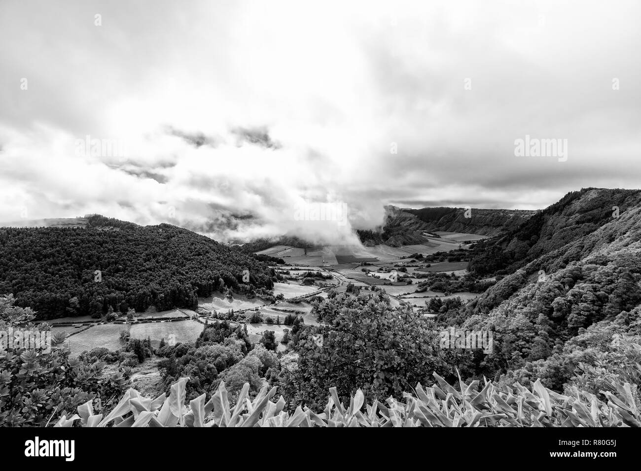 Vue en noir et blanc des pâturages près de Sete Cidades à Sao Miguel, Portugal. Banque D'Images