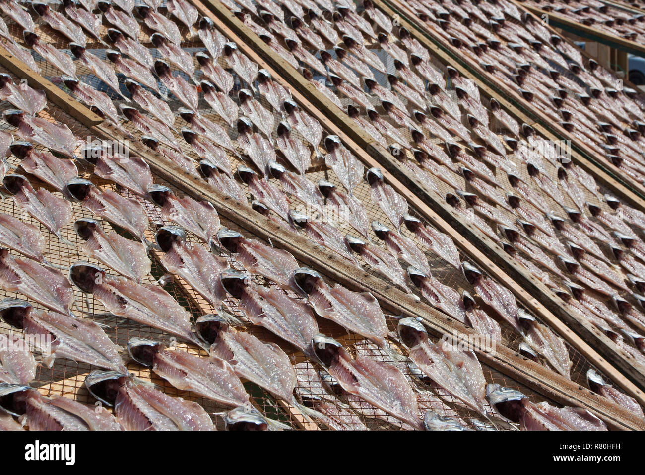 Le poisson mis à sécher au soleil sur la plage au Portugal Banque D'Images