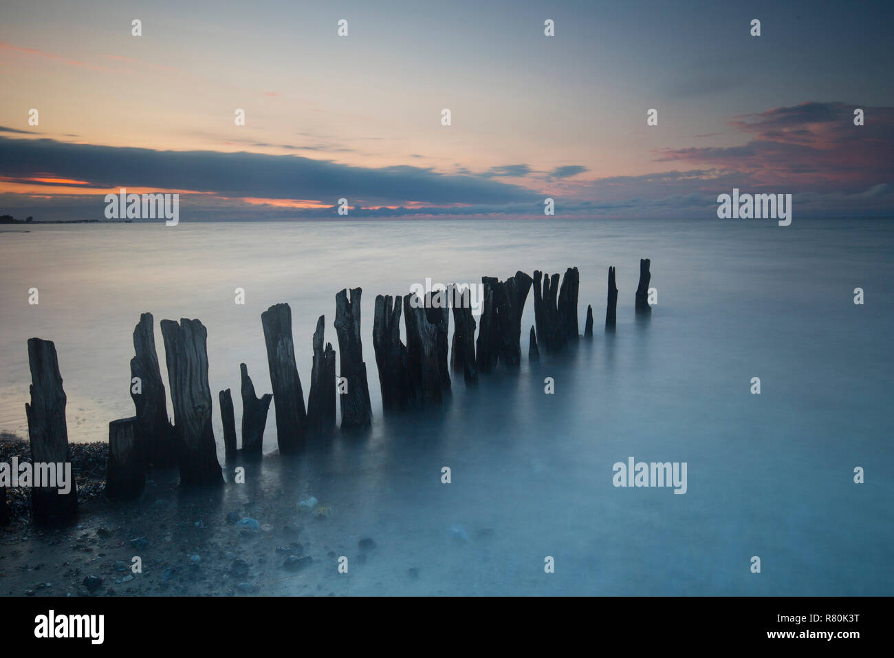 Épi de bois à la côte de la mer Baltique. Schleswig-Holstein, Allemagne Banque D'Images