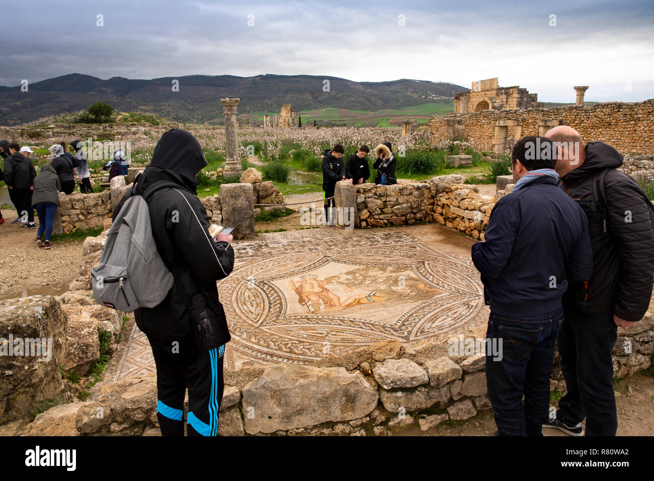 Maroc, Meknès, Volubilis, site romain de visiteurs à mosaïque de Bacchus Ariane endormie rencontre Banque D'Images