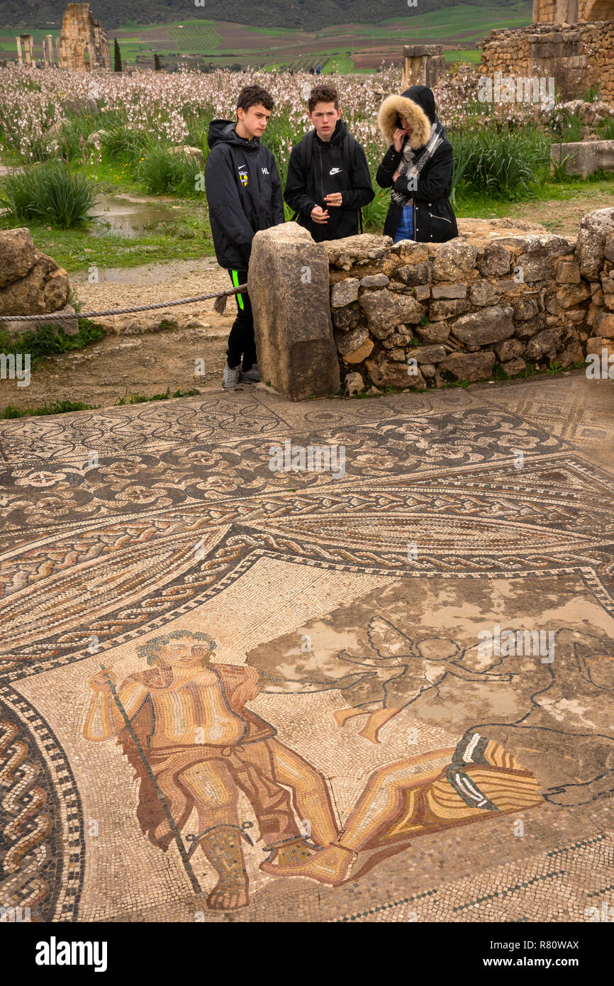 Maroc, Meknès, Volubilis, site romain de visiteurs à mosaïque de Bacchus Ariane endormie rencontre Banque D'Images