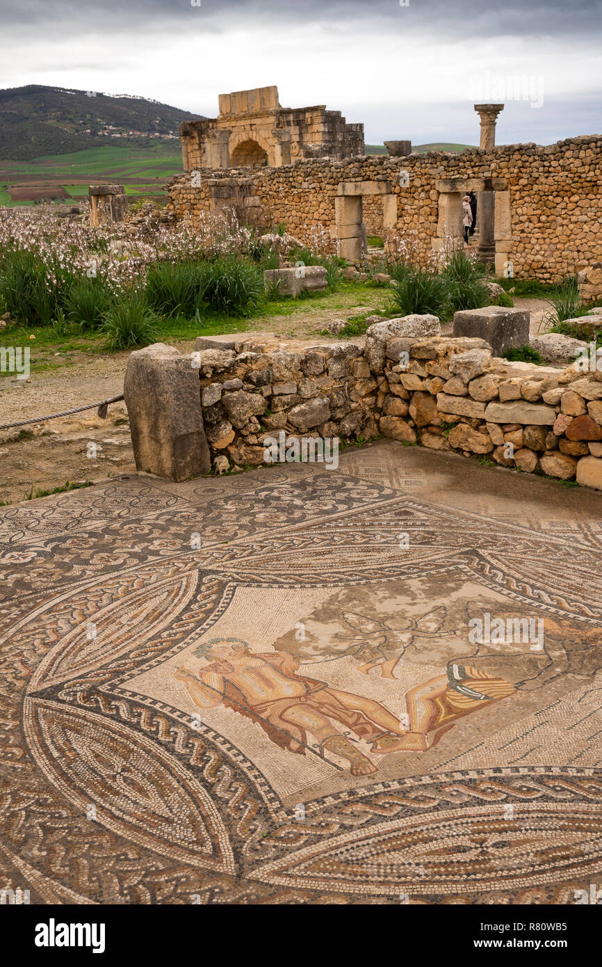 Maroc, Meknès, Volubilis, site romain mosaïque de Bacchus Ariane endormie rencontre Banque D'Images