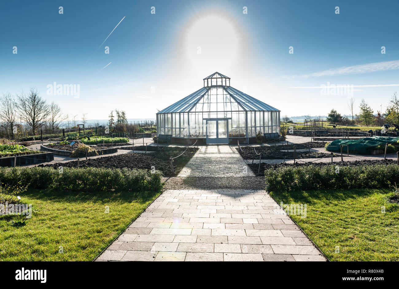 RHS Hyde Hall, la croissance mondiale, le jardin de légumes sous serre octogonale. Banque D'Images