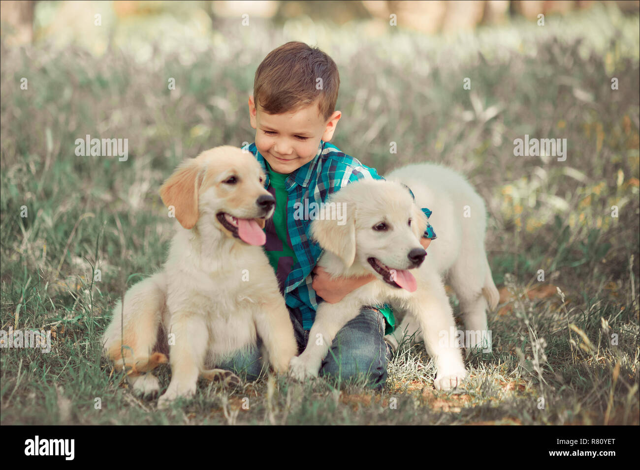 Cute Teen Beau Garcon Aux Yeux Bleus A L Outdoor Blanc Rose Incroyable Labrador Retriever Chiot Beneficiant D Ete Ensoleille Jour Locations De Week End Avec Le Plein Photo Stock Alamy