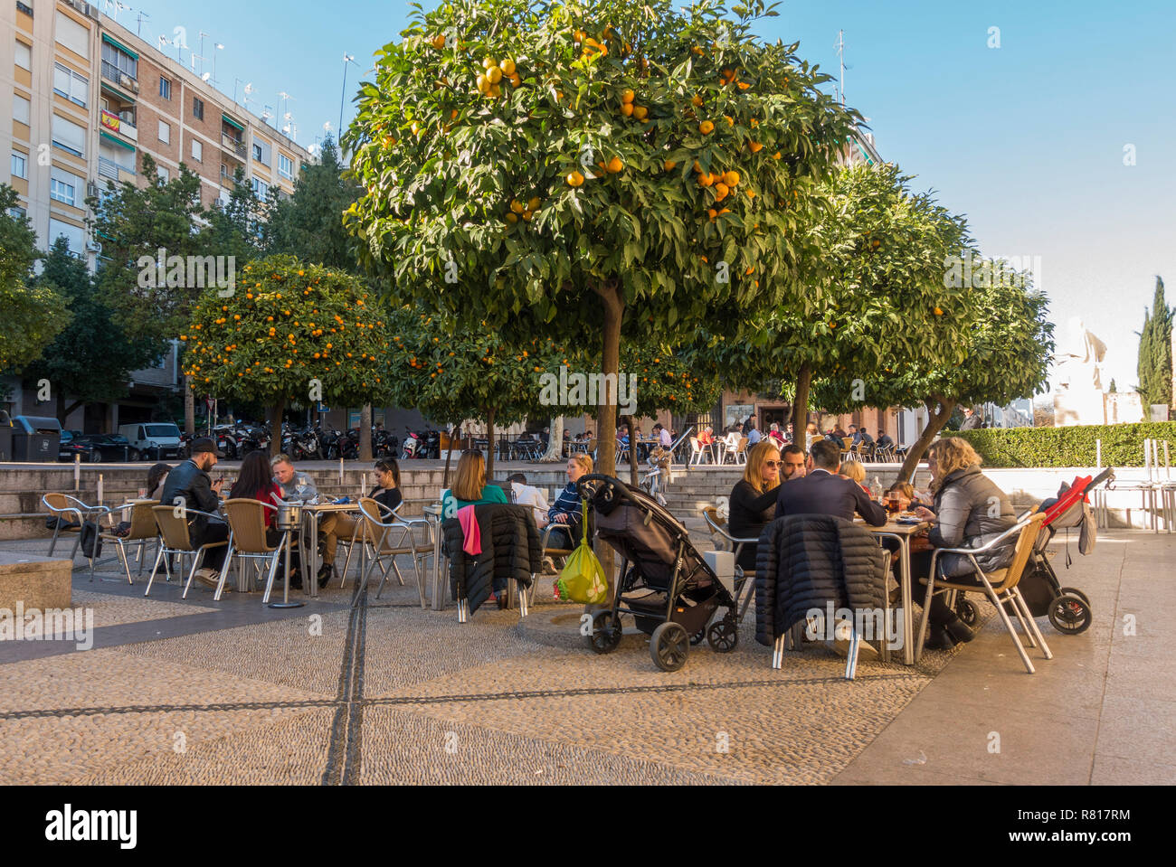 Terrasse animée, sous les orangers, restaurant, avec les familles, Cordoue, Andalousie, espagne. Banque D'Images
