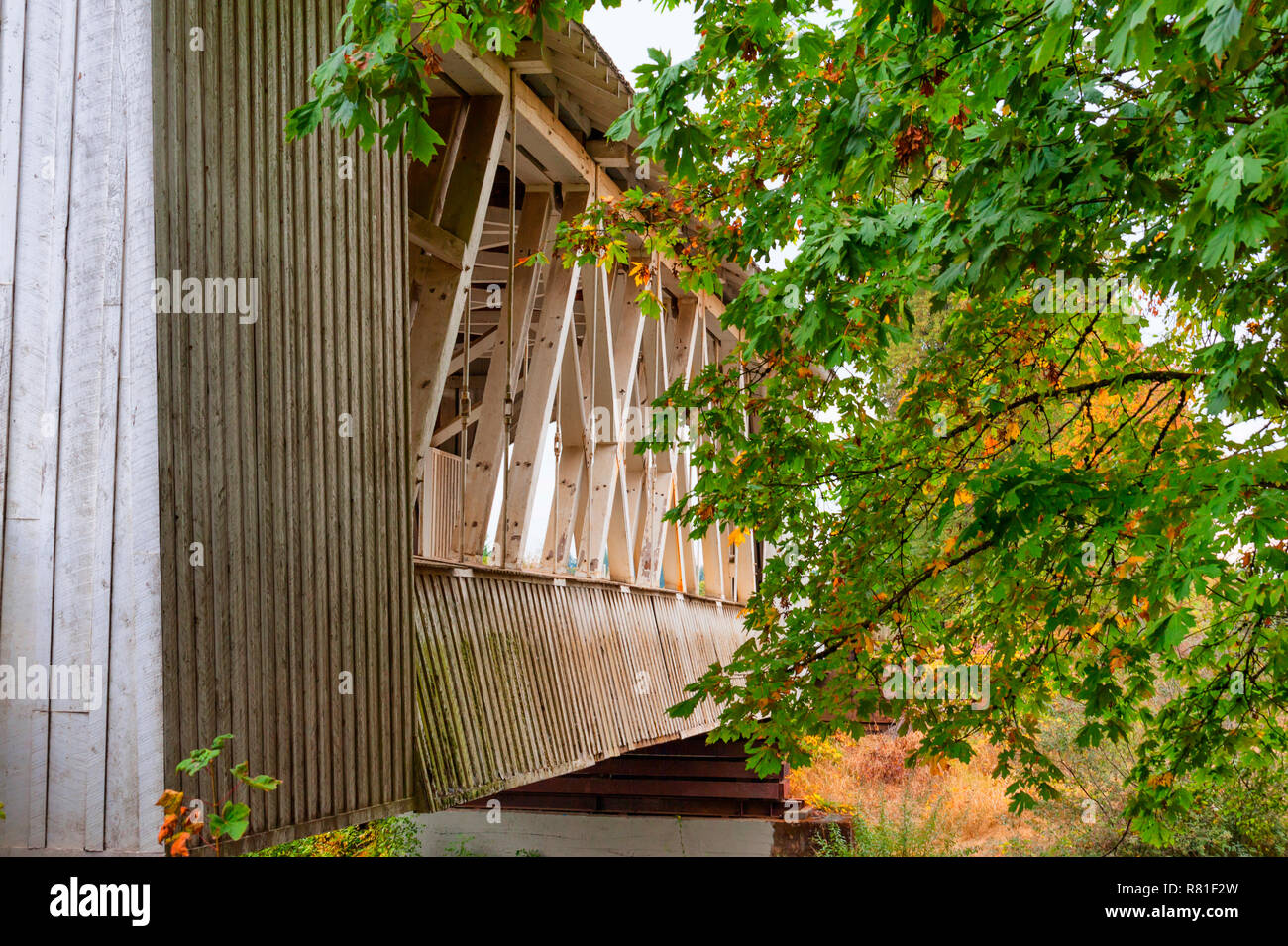 L'Gilkey pont couvert, construit en 1939 et refondu en 1998 et traverse le ruisseau Thomas dans les régions rurales de comté de Linn Oregon. Banque D'Images