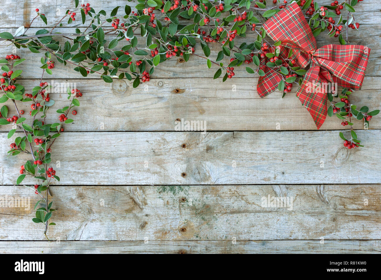 Image de carte postale de Noël sur fond de bois. Pour la carte de vœux. Les feuilles vertes avec des baies. Fond d'Chrismtastime,Noël. Banque D'Images