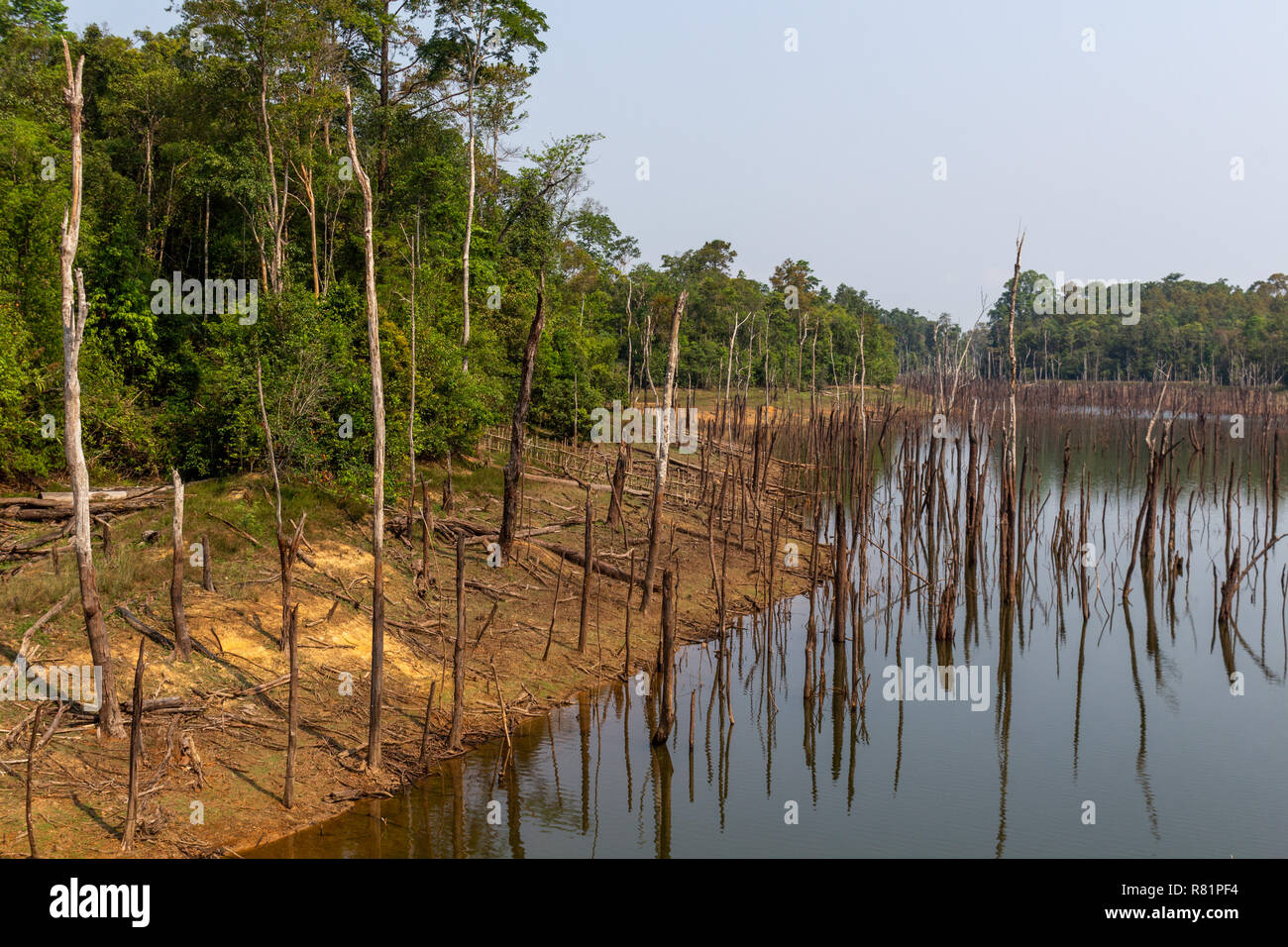 Thakhek, Laos - 20 Avril 2018 : Dead arbres se reflétant dans les eaux d'un lagon près de Nam Theun village dans le sud du Laos durant la saison sèche Banque D'Images