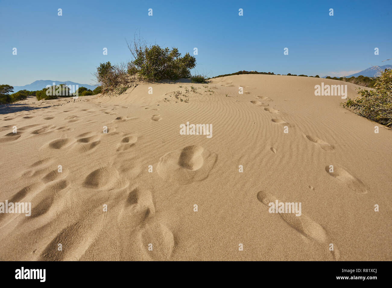 Arrière-plan lumineux de sable et de ciel. Impressions du désert Banque D'Images