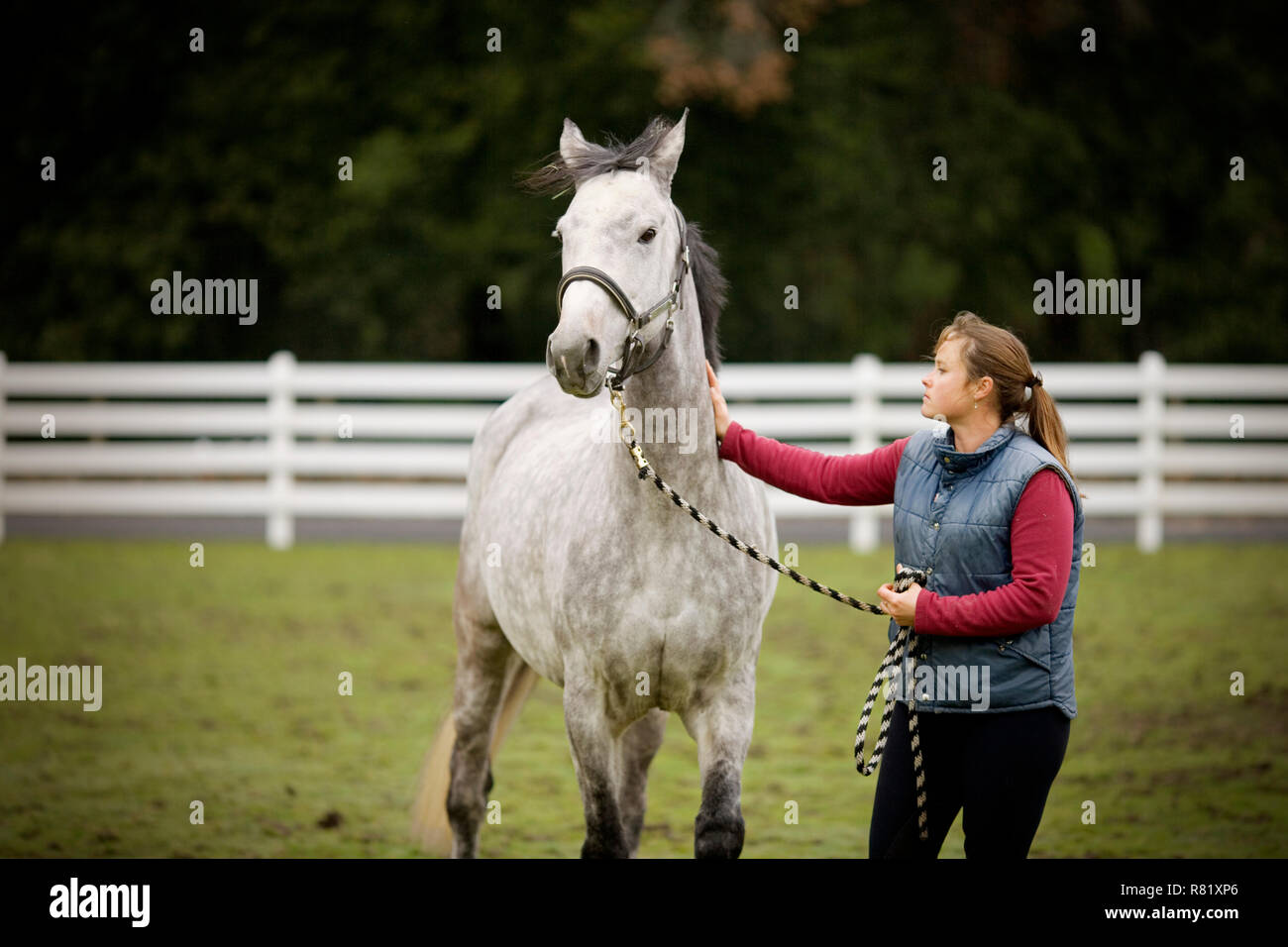 Jeune femme debout avec son cheval gris dans un enclos. Banque D'Images