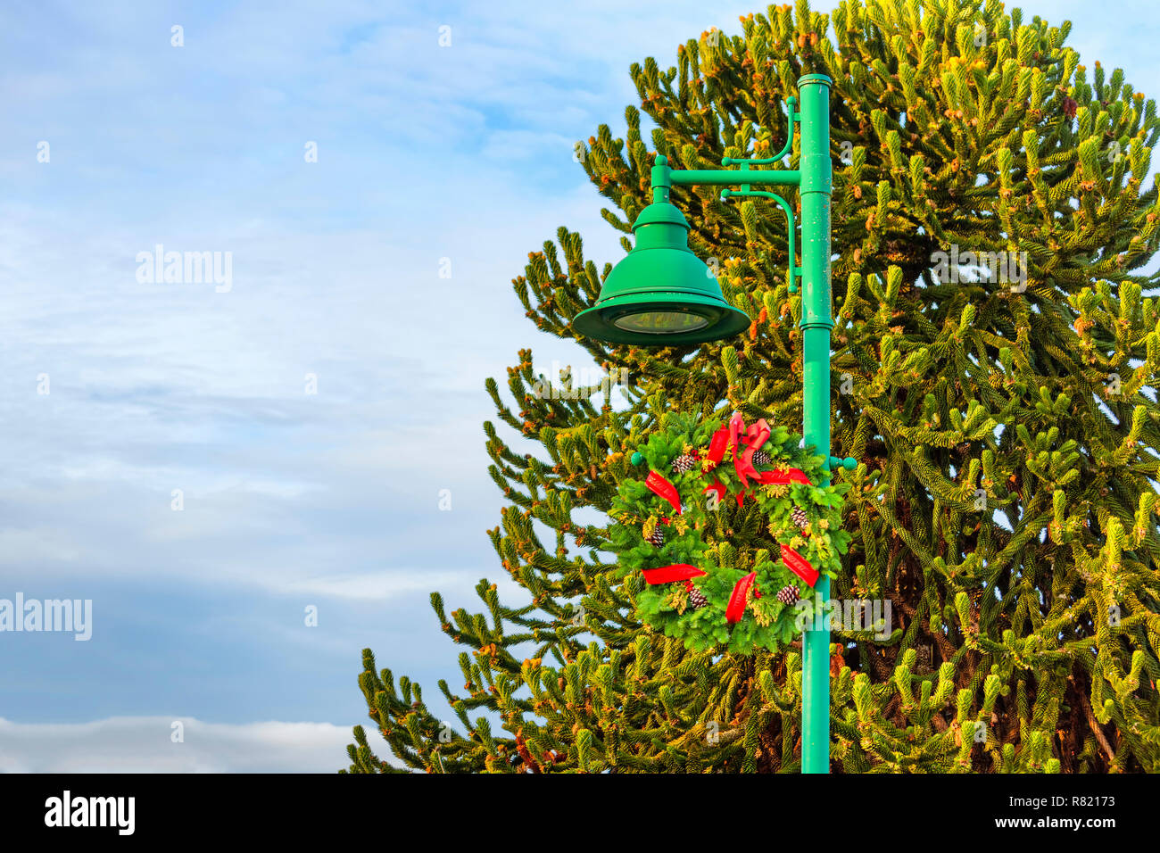 Un ciel nuageux et un singe tree remplir l'arrière-plan avec une couronne de Noël suspendu à un lampadaire en premier plan. Banque D'Images