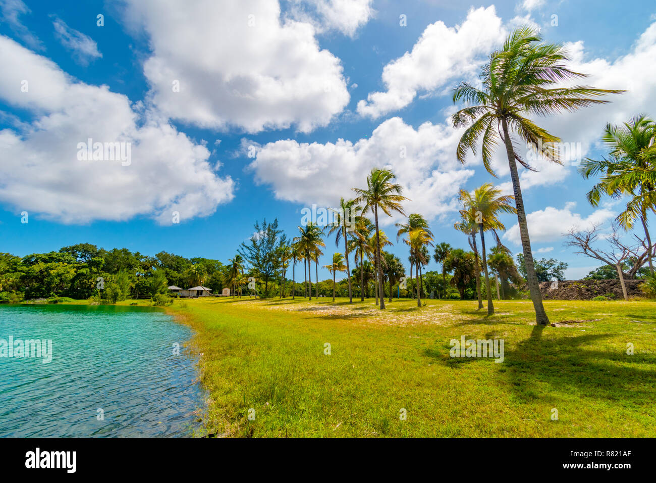 Palm et lake paradise dans Snyder Park. Fort Lauderdale, Florida, USA Banque D'Images
