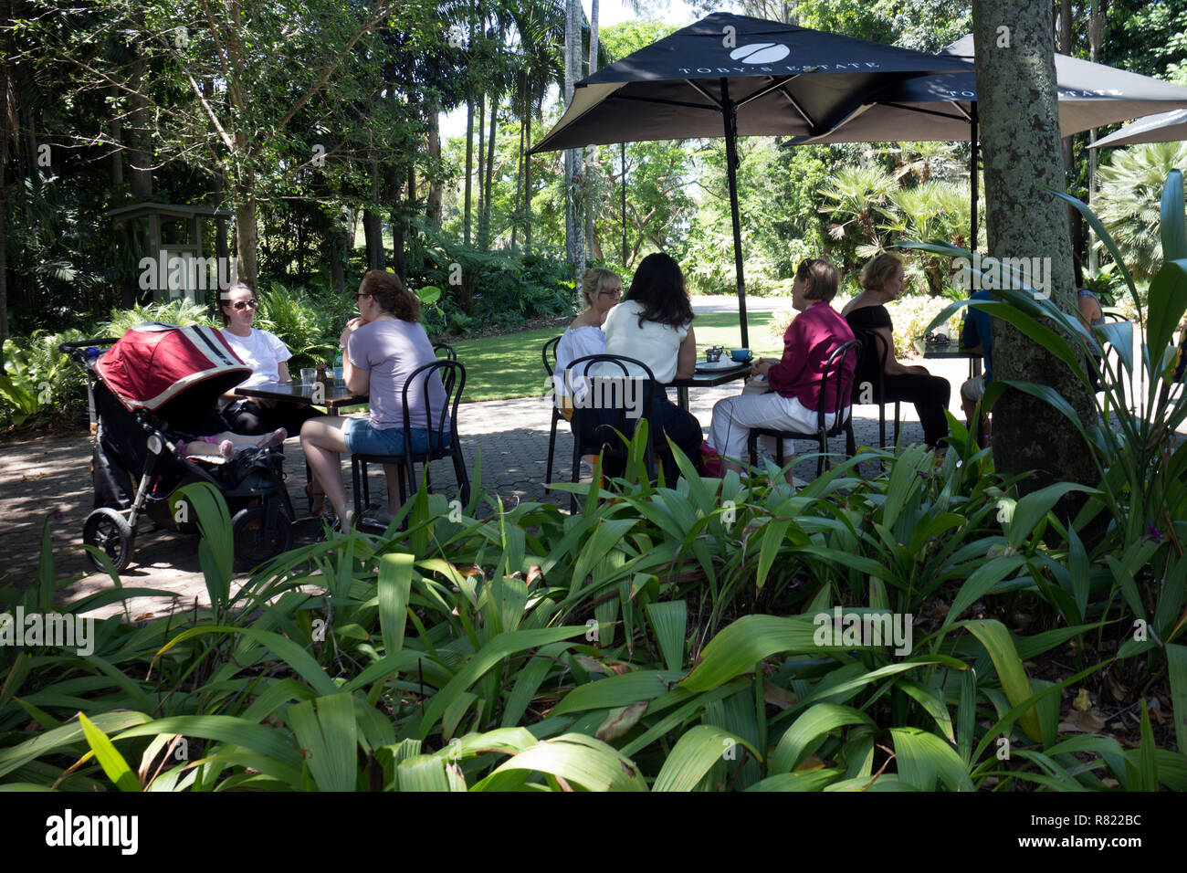 Les gens au Gardens Club Cafe, jardins botaniques, Brisbane, Queensland, Australie Banque D'Images