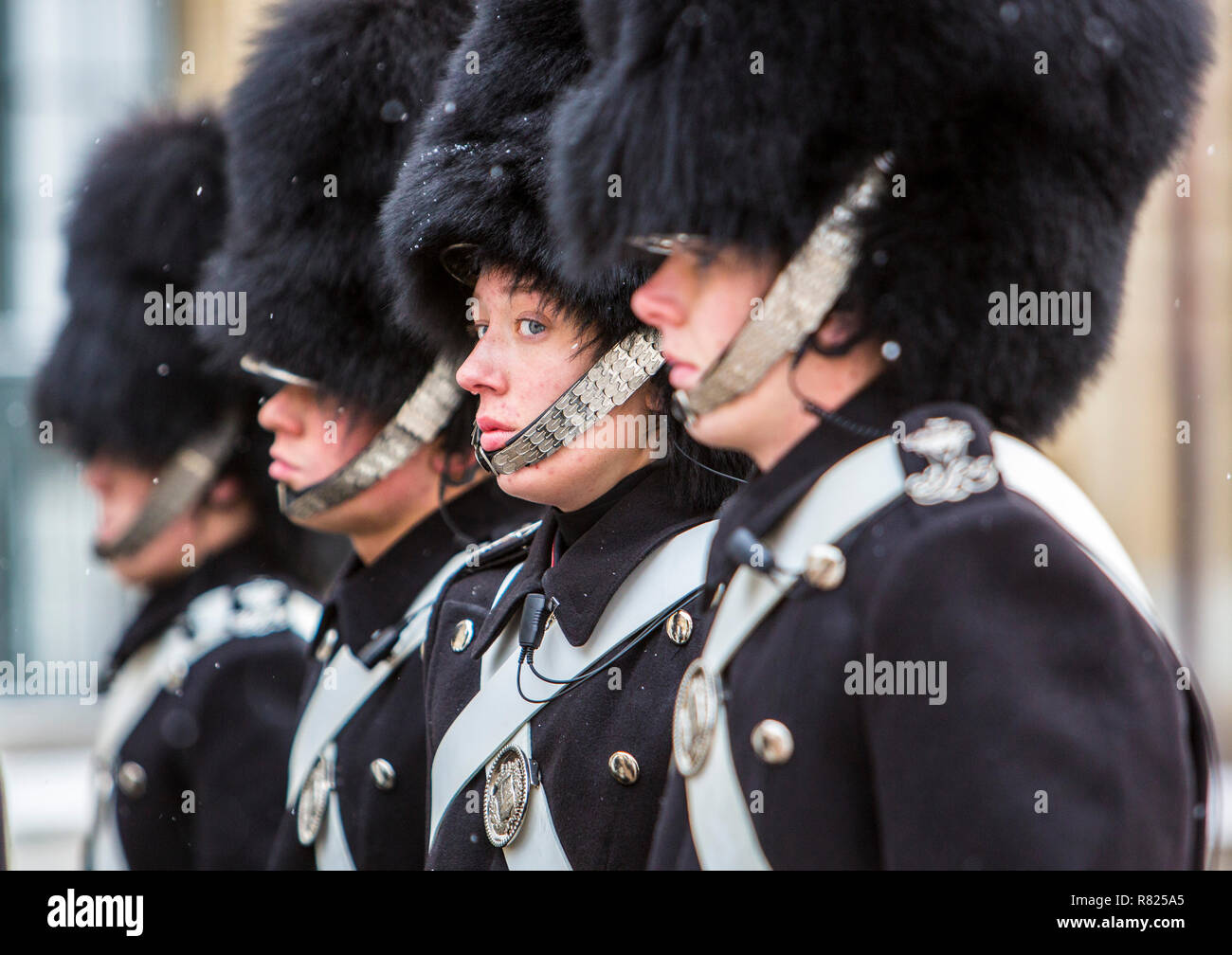Changement de la garde royale, gardes du corps, de cérémonie hors du palais royal d'Amalienborg, Copenhague, capitale nationale du Danemark Banque D'Images