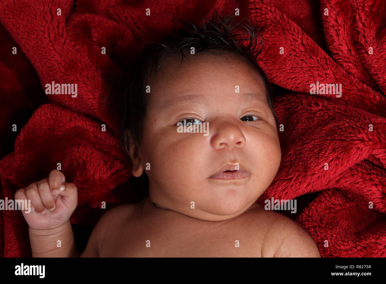 Mixed Race New Born Baby Boy Banque D'Images