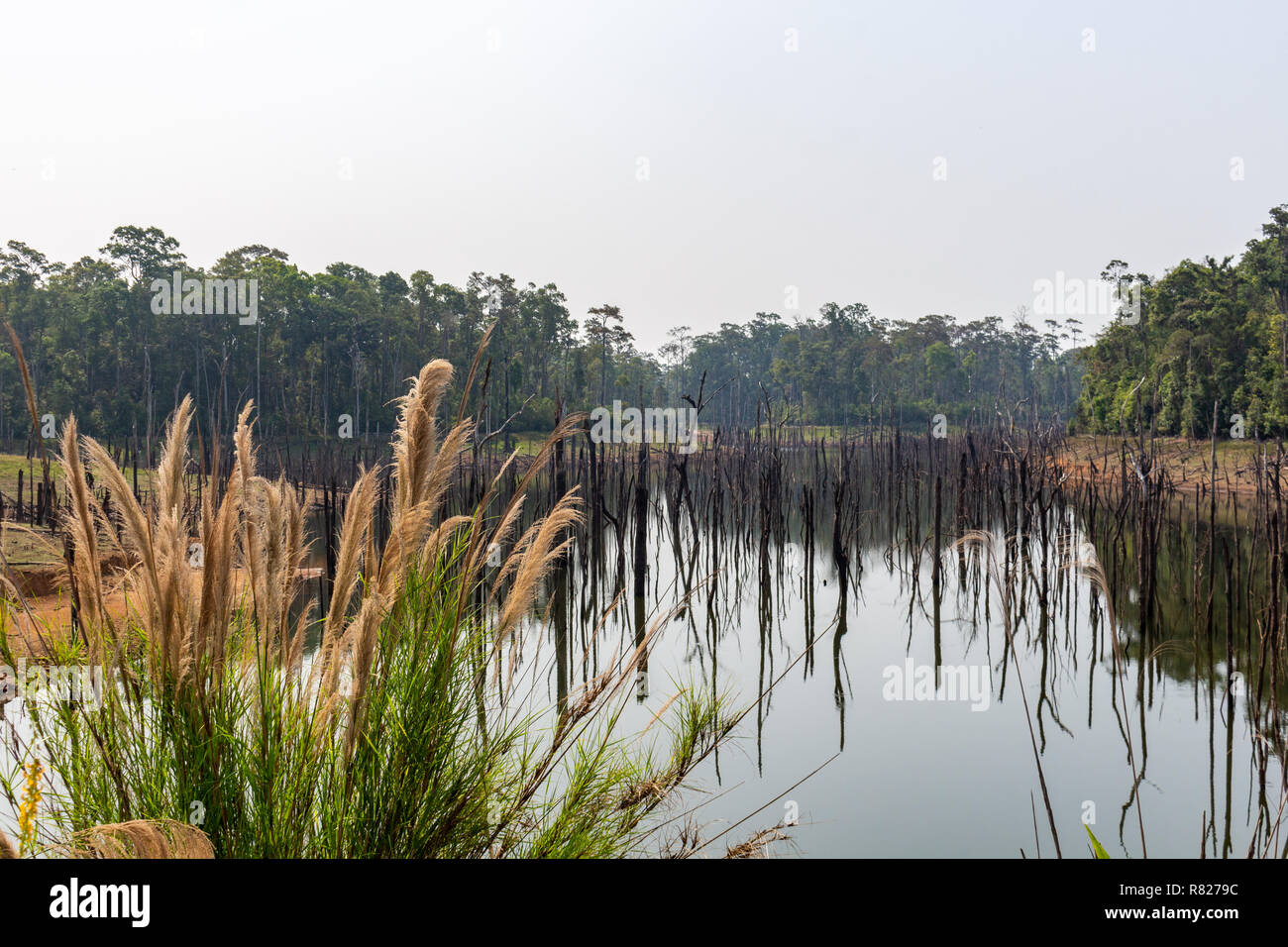 Thakhek, Laos - 20 Avril 2018 : Dead arbres se reflétant dans les eaux d'un lagon près de Nam Theun village dans le sud du Laos Banque D'Images