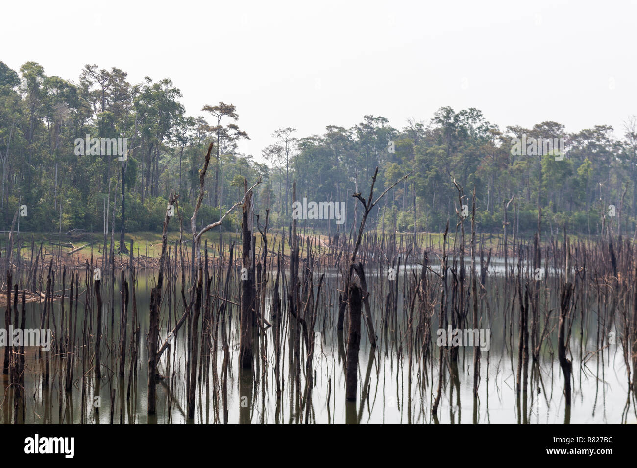 Thakhek, Laos - 20 Avril 2018 : Dead arbres se reflétant dans les eaux d'un lagon près de Nam Theun village dans le sud du Laos Banque D'Images