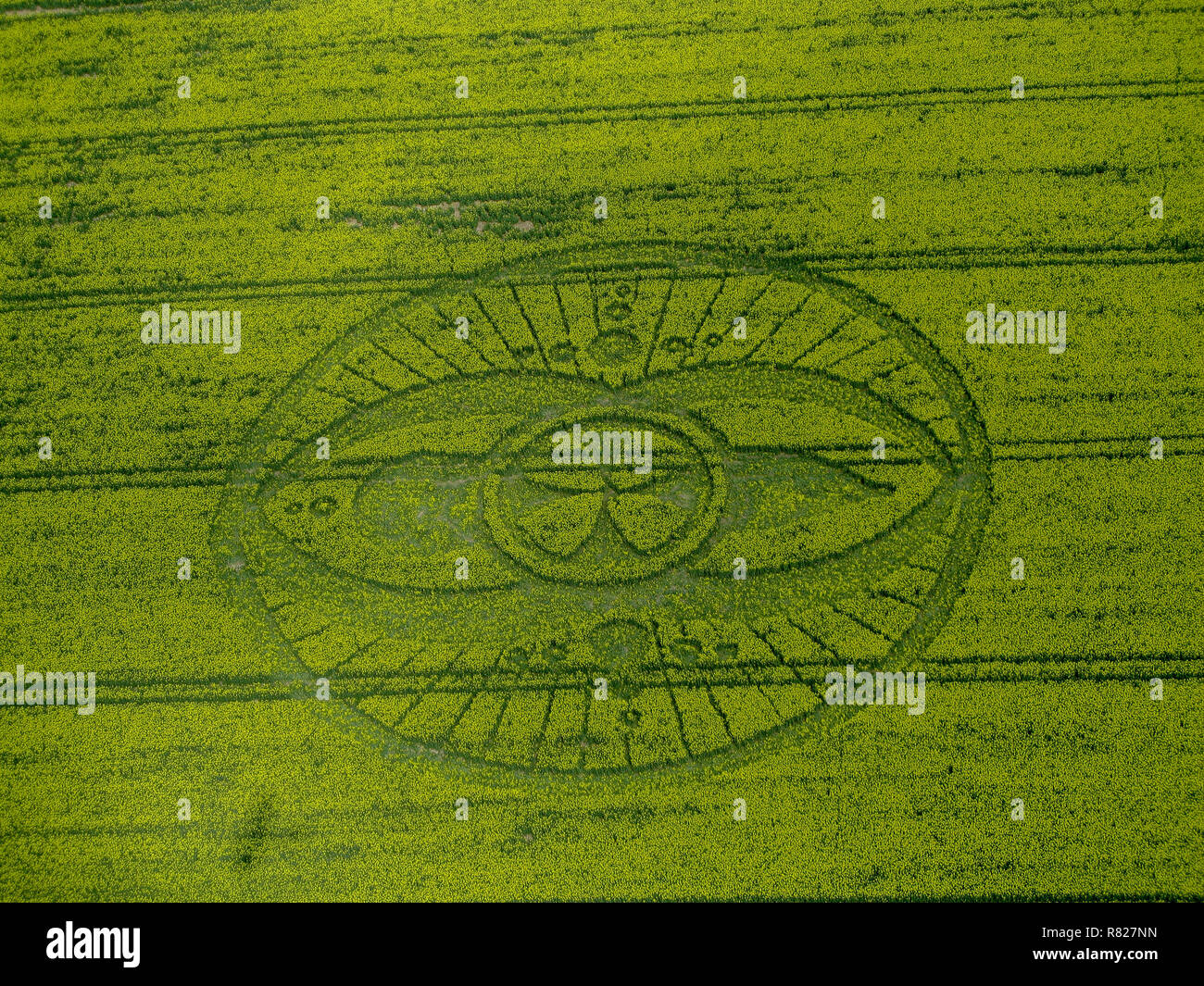 Crop circles de l'air près d'Avebury dans le Wiltshire 7-7 Banque D'Images