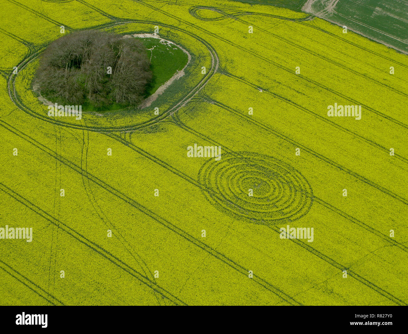 Message de cercle de récolte exotiques Banque D'Images